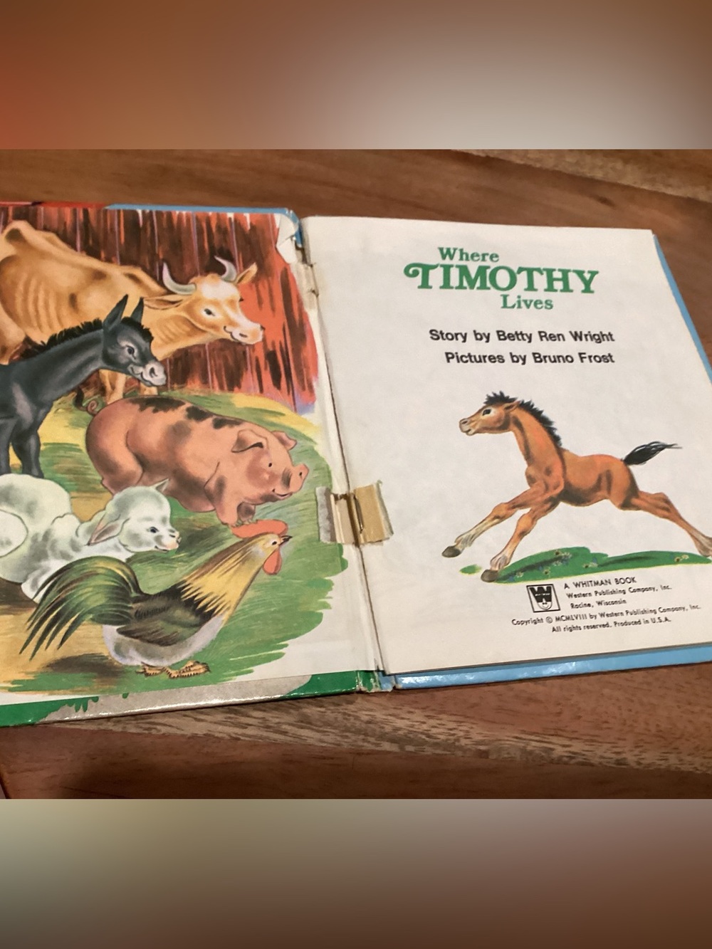 Vtg. 1958 Children’s book titled Where Timothy Lives written by Betty Ren Wright - Picture 2 of 5